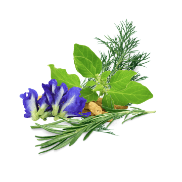 Ayurvedic herbs