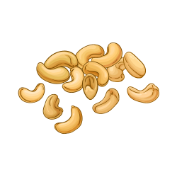 Cashew