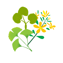 Ayurvedic herbs