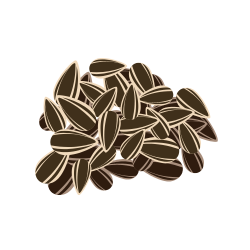 Melon seeds