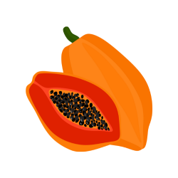 Papaya