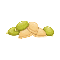 Pumpkin seeds