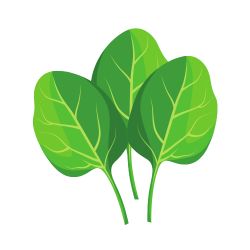 Spinach