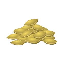 Sunflower seeds