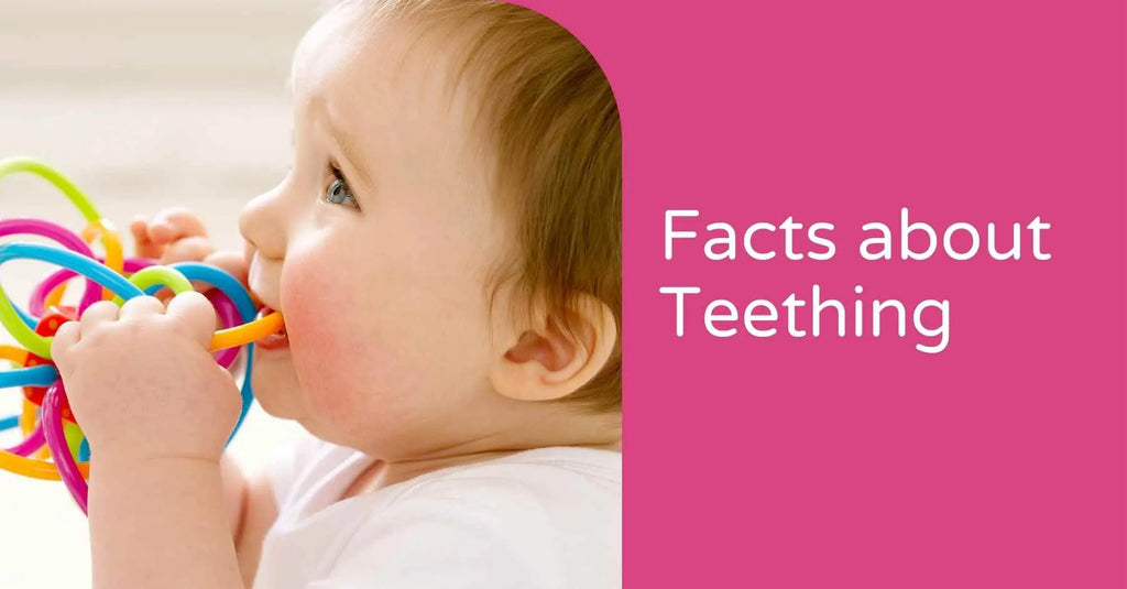Essential Teething Age Facts for Parents: Key Things to Know