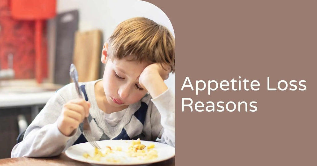 REASONS FOR LOSS OF APPETITE AND 5 FOODS TO INCREASE YOUR CHILD’S APPETITE
