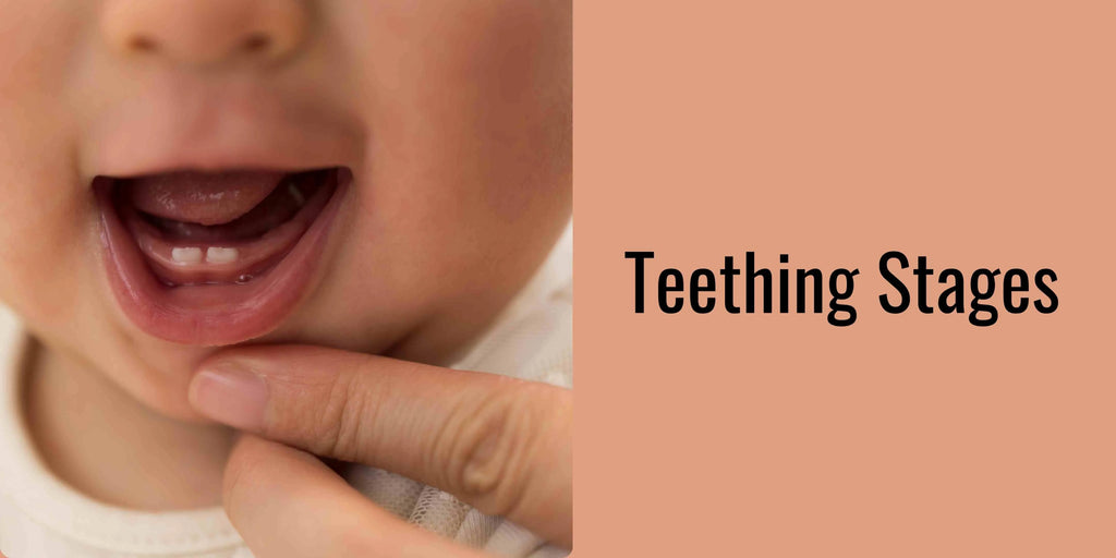 Comprehensive Guide to Baby Teething Stages