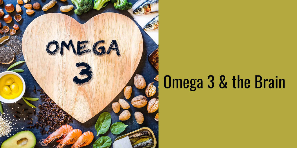 Unlocking Cognitive Potential: Powerhouse Benefits of Omega-3 Fatty Acids on Brain Health
