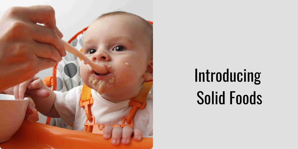 Baby's Solid Food Intake at 6 Months: Optimal Consumption Guidelines