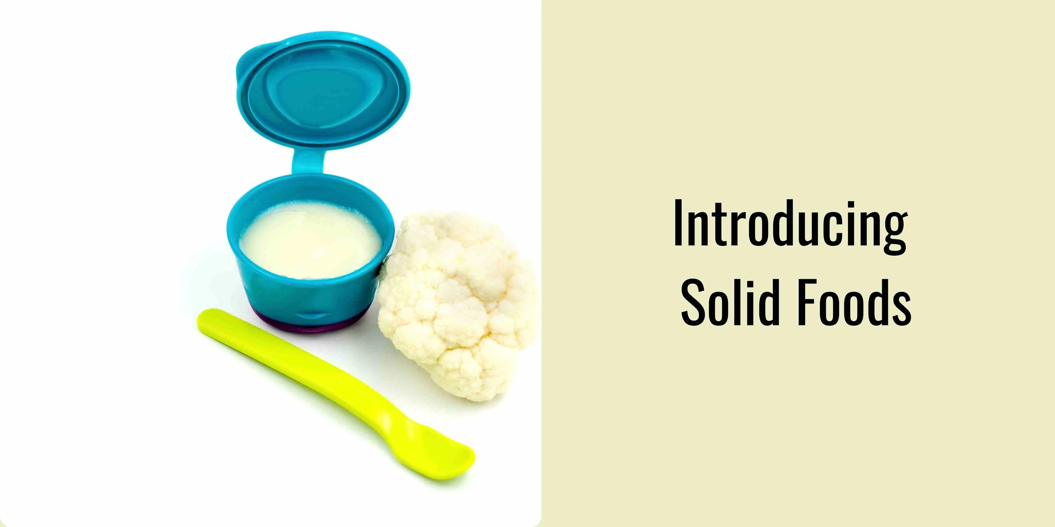 Splid Food The Best Solid Foods for Your 6-Month-Old Baby - IYURVED-IN