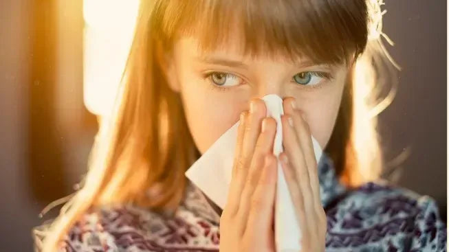 Dust Allergy Relief: Powerful and Natural Home Remedies