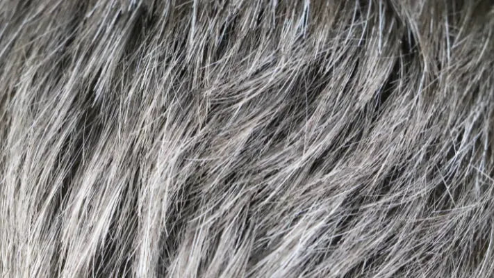 5 FOODS AND HOME REMEDIES TO TREAT GREY HAIR IN KIDS