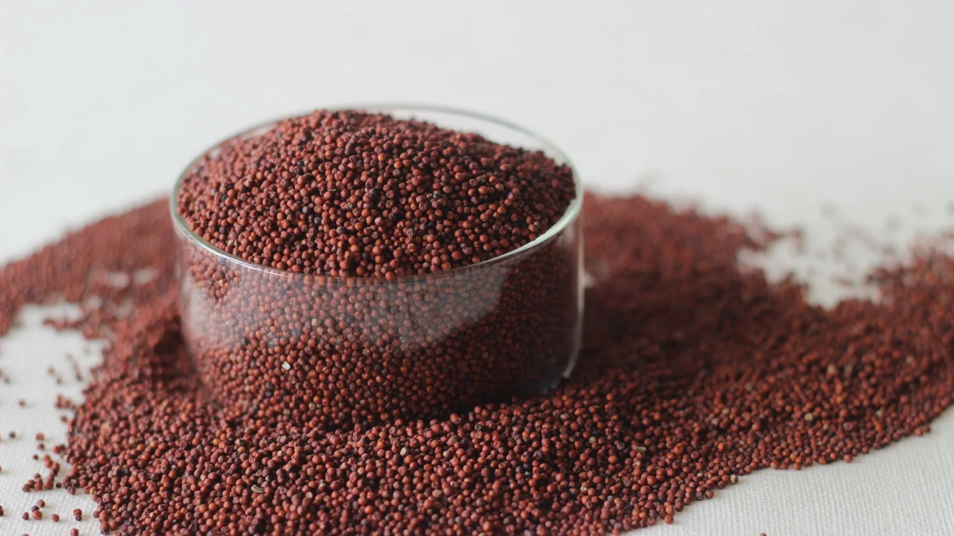 Exploring the Nutritional Benefits and Health Improvements of Ragi Grain