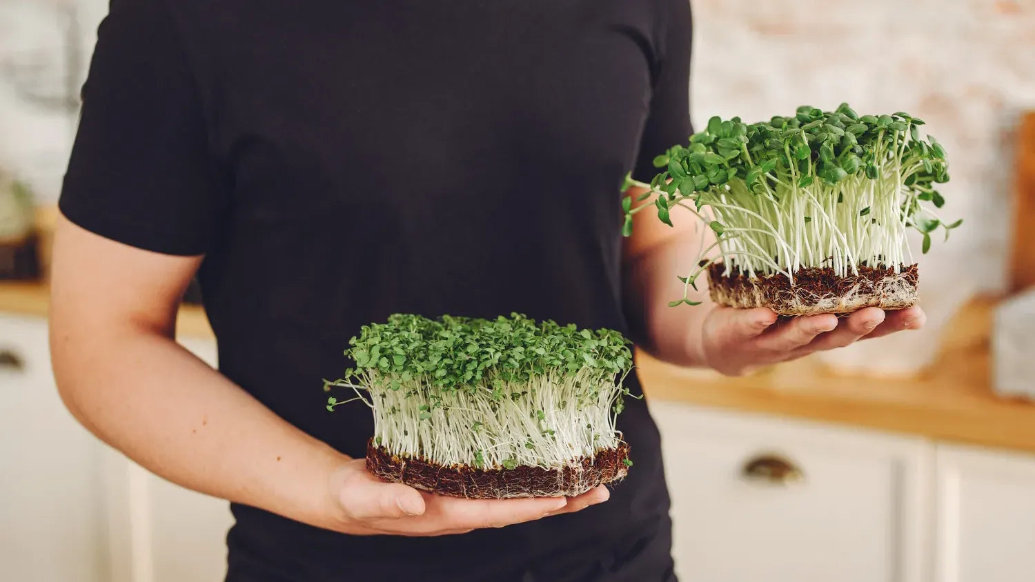 Nutritional Advantages of Microgreens: Enhancing Health with Tiny Greens