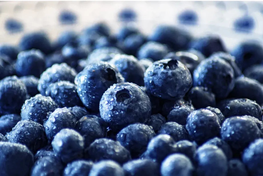 Supercharge Cognitive Health: The Power of Blueberries for Optimal Brain Function