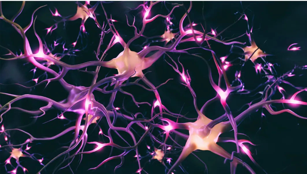 Optimize Cognitive Performance with Nutrient-Rich Brain Foods: Nurturing Neuron Development