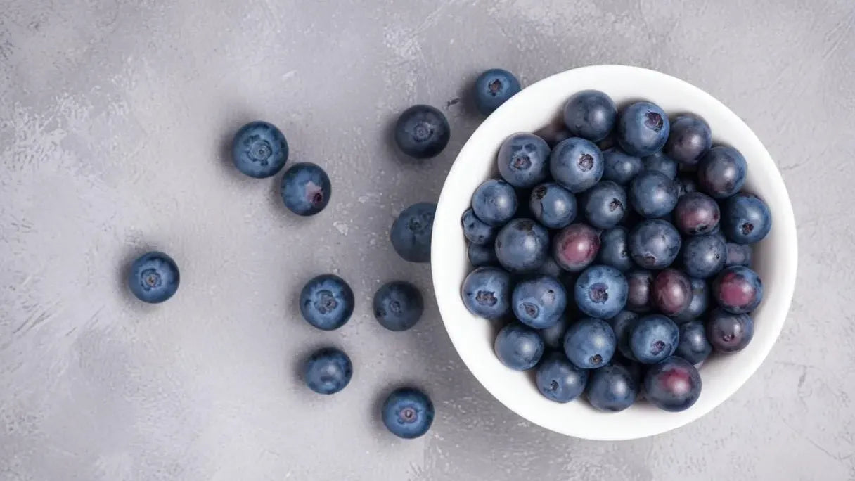 Blueberry Brilliance: Exploring the Cognitive Benefits of Nature's Brain Food