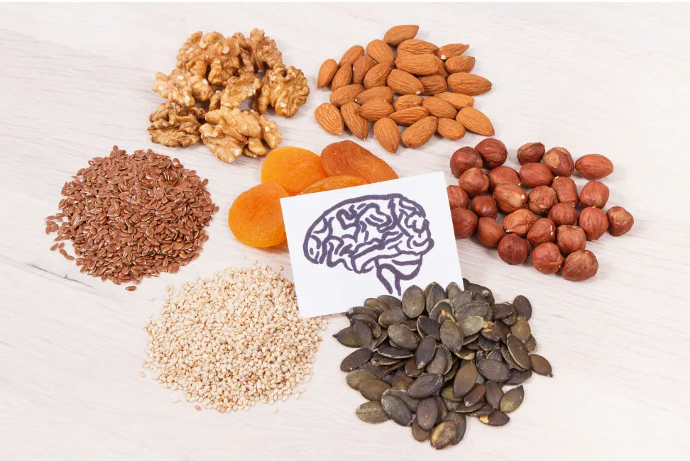 What is Best Brain Food? Expert Picks for Cognitive Function