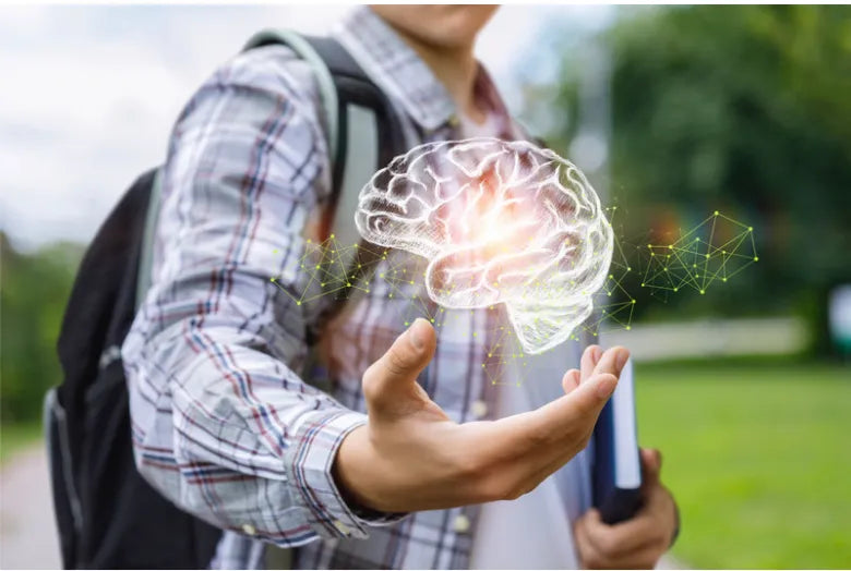 A colorful plate of brain food for students, featuring nutritious meals to boost concentration and focus.