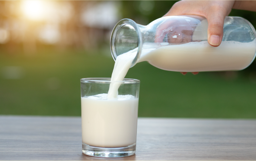 Camel Milk Is Good for Health of Autistic Kids?