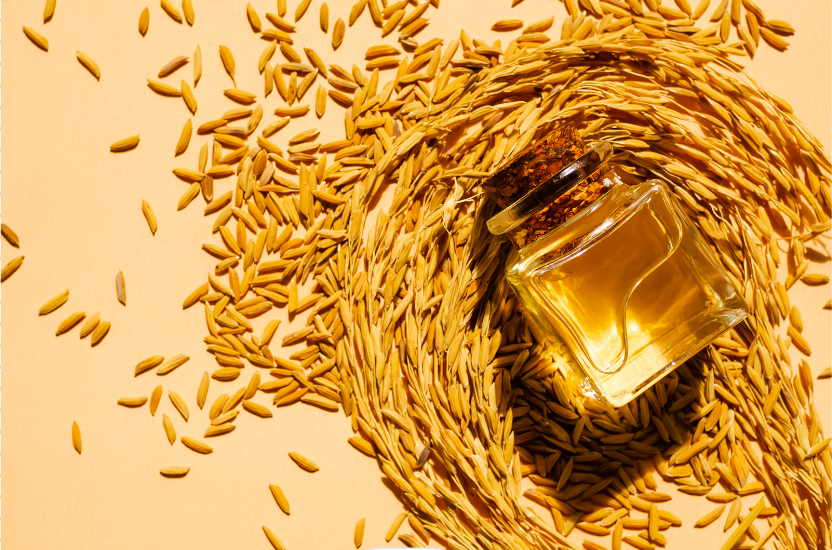 benefits of Rice Bran oil for Brain Health