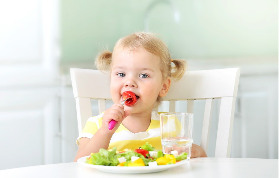 Feeding Young Minds: Exploring the Nutrition-Memory Connection in Kids