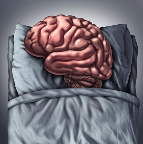 Impact of Sleep Disorder on Kid’s Brain Development