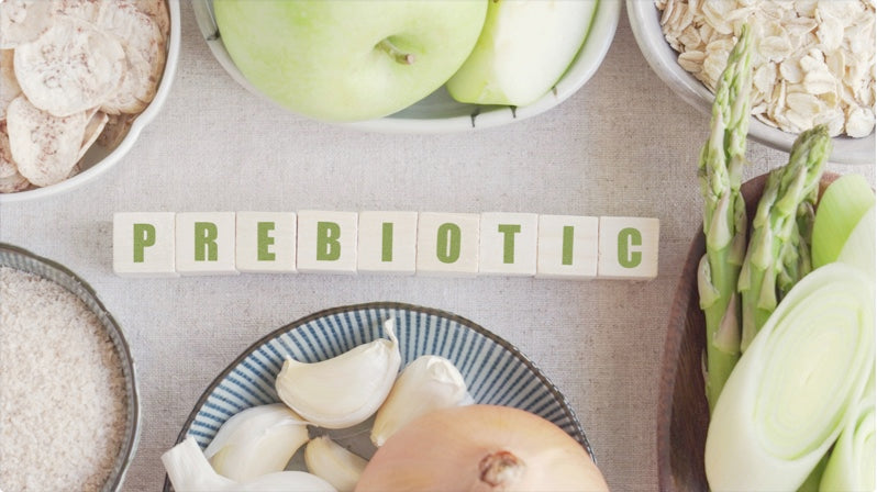 Understanding the role of Prebiotics in foods for Health