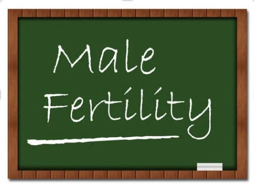 6 Foods for Fertility in Male