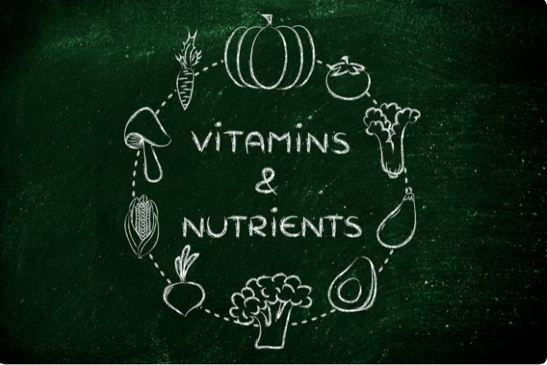 Different Types of Nutrients and 5 Tips to Absorb them Maximum