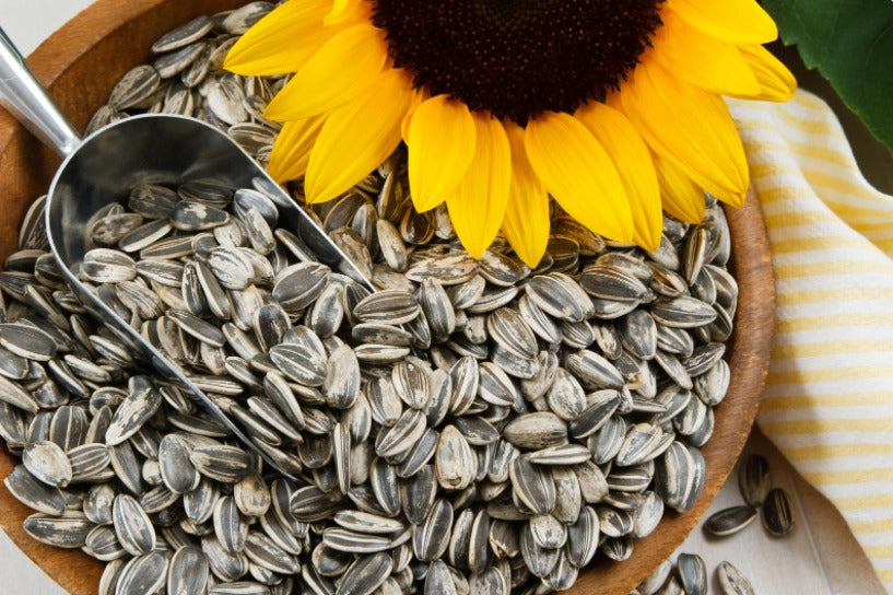 Food for a glowing skin – Add this seed to your diet!