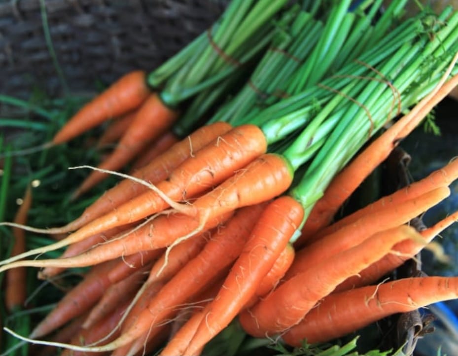 7 healthy Benefits of carrot for kids