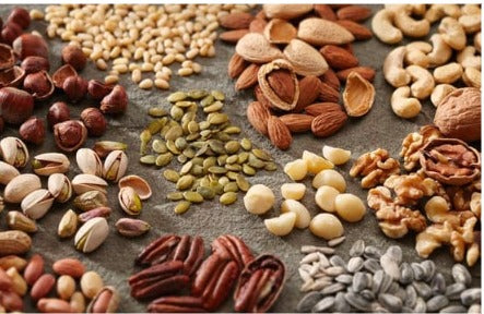 Nutrient-Rich Nuts and Seeds for Better Brain Development in Kids