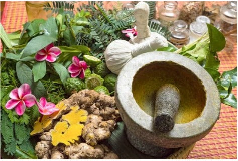 Ayurvedic Herbs for Cognitive Enhancement in Adults