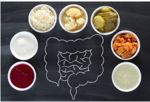 The Role of Probiotics in Supporting Gut Health