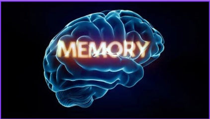 Memory technique: Best Brain exercise