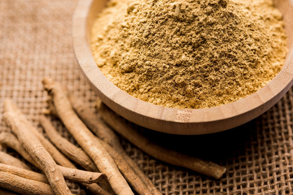 Ashwagandha Properties That Make It a Powerhouse