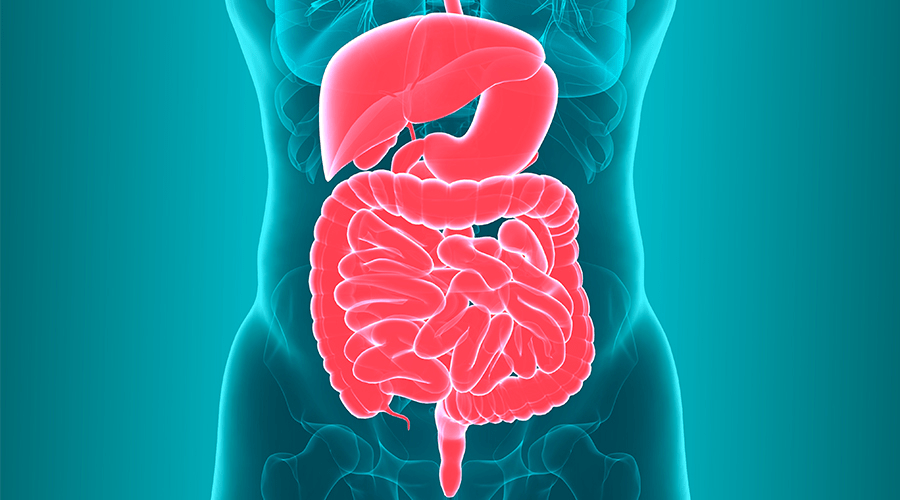 Post-Diwali Gut Reset – Simple Foods to Restore Digestion & Immunity.