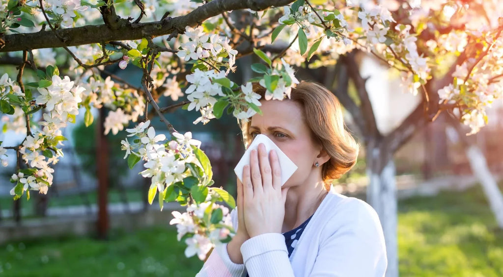 Cleaning Hacks to Reduce Dust and Pollen Allergies Indoors