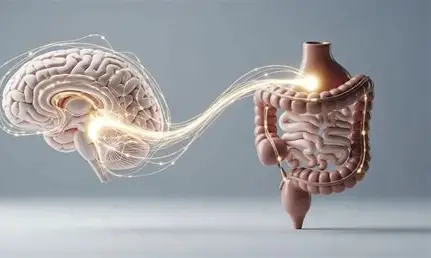The Hidden Link Between Gut Health, Magnesium & Brain Function.