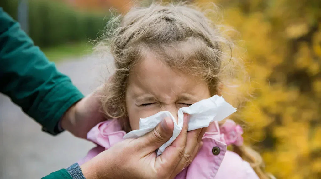 Strengthen Your Body’s Defence System Before Flu Season