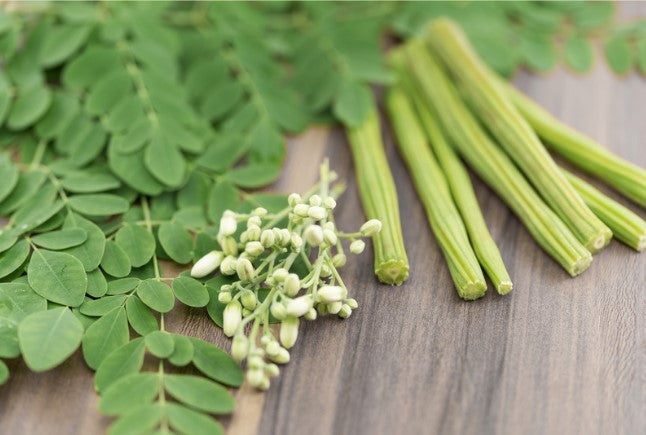 6 SCIENCE BASED HEALTH BENEFITS OF MORINGA OLEIFERA